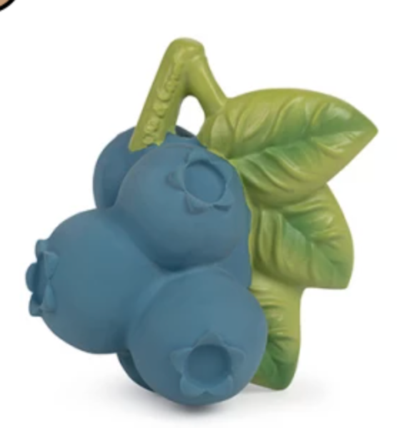 Oli & Carol Jerry the Blueberry