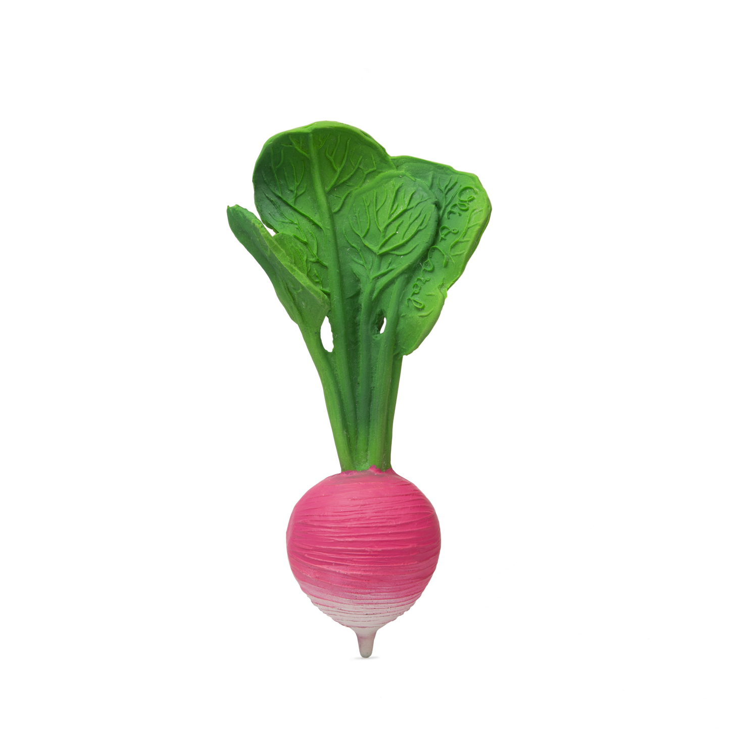 Oli & Carol Ramona the Radish