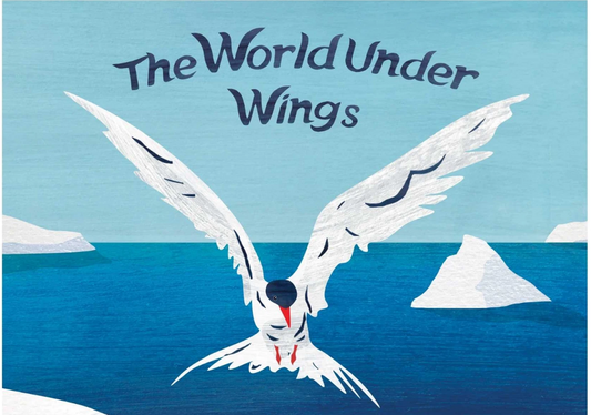 The World Under Wings
