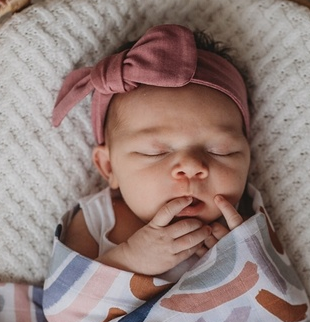 Topknot Headband- Mauve