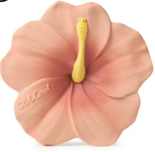 Oli & Carol Iris the Hibiscus