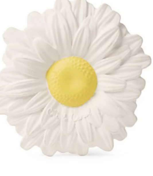Oli & Carol Margherita the Daisy