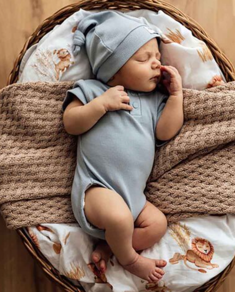 Snuggle hunny short sleeve bodysuit newborn (0000) - Zen